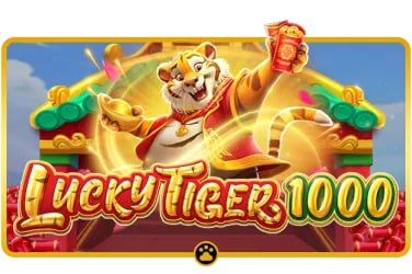 Responsible gaming and privacy guidance on 9 app Speed Roulette Guide page